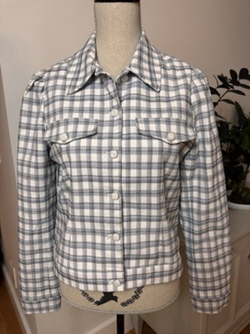 Autres Filles Plaid Button Up Blazer Jacket Academia Career Preppy Anthropologie